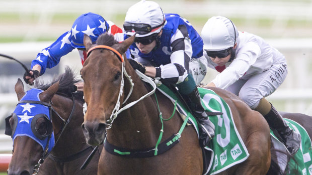 Mugatoo is out to break the Newcastle Cup jinx for Australian Bloodstock and trainer Kris Lees.
