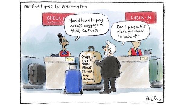 Illustration: Cathy Wilcox