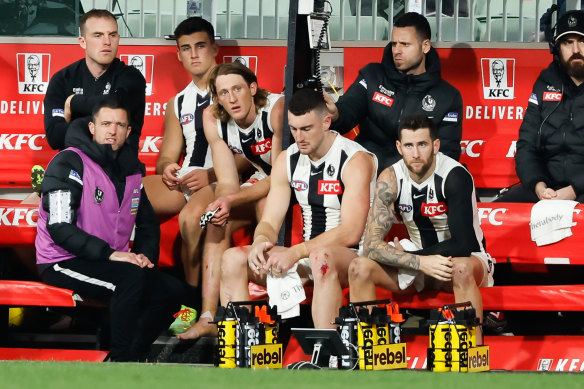 Walking wounded: Tom Mitchell, Nick Daicos and Nathan Murphy on the bench.