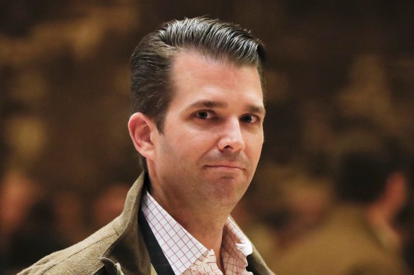 Donald Trump jnr said his family had already suffered greatly.