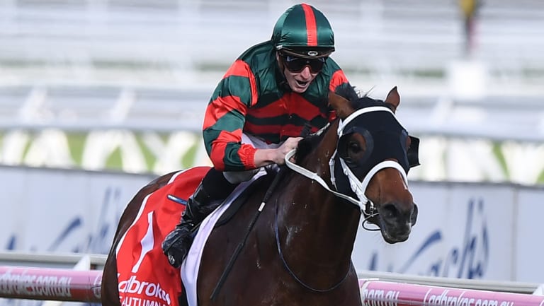 Shining: The Autumn Sun, ridden by James McDonald, was an impressive winner of the Caulfield Guineas.