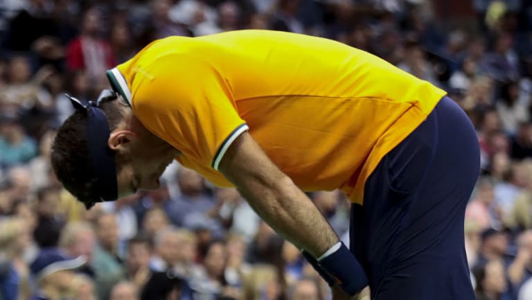 Vanquished: He fought hard, but Del Potro was no match for Djokovic.