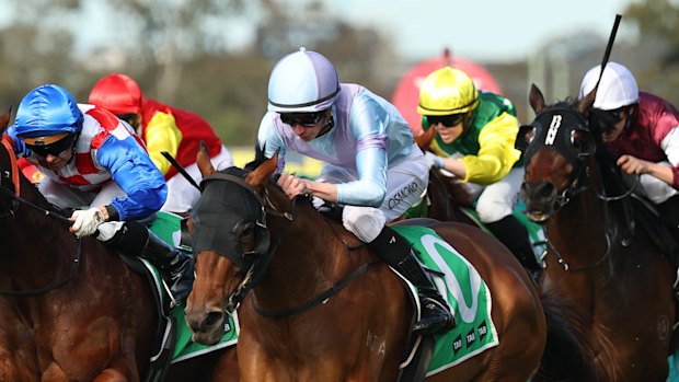 Red Rags To Bulls winning the Highway Handicap at Rosehill two weeks ago.
