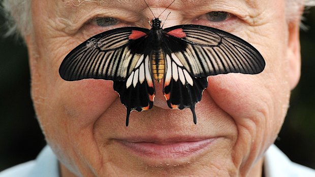 The world would be a poorer place without Sir David Attenborough’s contribution to it.