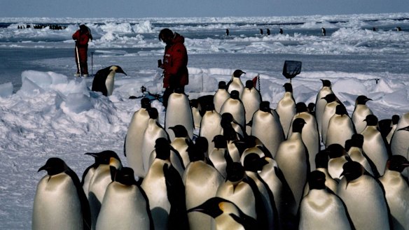 John Weiley filming in Antarctica.