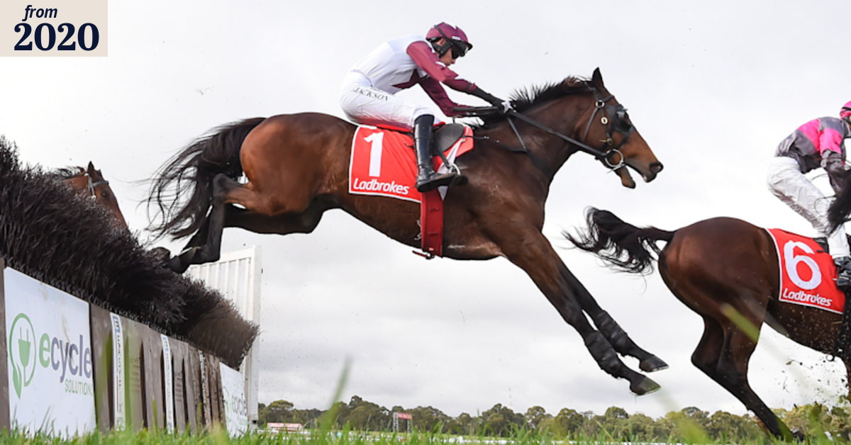Maher confirms standing as premier jumps trainer