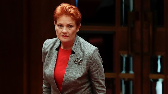 Pauline Hanson's former ally Brian Burston seeks investigation into One Nation