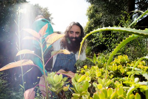 Make like Costa Georgiadis and get busy in the garden, with some handy tips from the Gardening Australia website. 