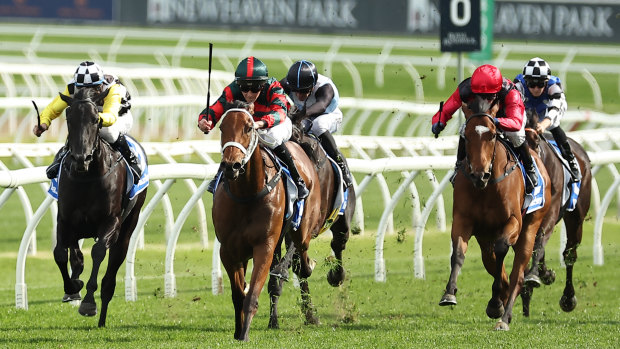 Lady Shenandoah (red and green silks) wins the Flight Stakes at Randwick in October.