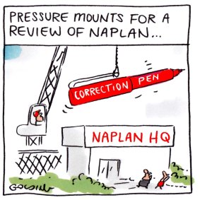 NAPLAN does not capture everything that matters in school education.