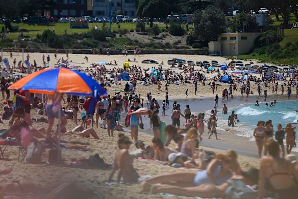 Beachgoers at Coogee Beach
