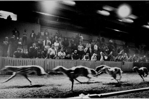 The dog track attracted an eclectic cast of characters.