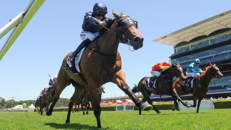 Rails run: English jockey Tom Marquand and Movie World break clear at Randwick on Saturday.