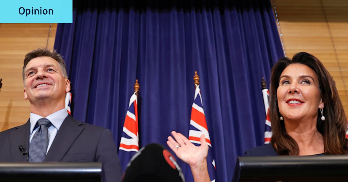 Angus Taylor : Liberal leader must address opposition failings