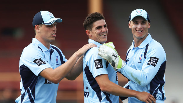 All smiles: Sean Abbott claimed five wickets for the Blues on Sunday.