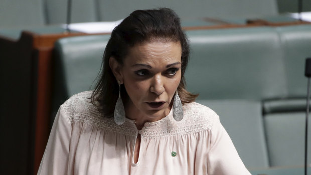 Anne Aly said she and her staff were not in danger, but left shaken by the incident.