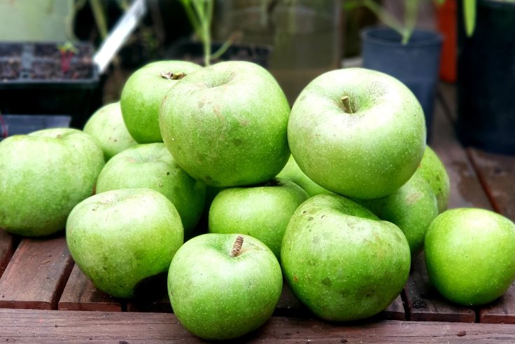 Apples, Granny Smith