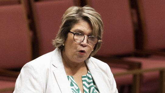 Senator Kerrynne Liddle.