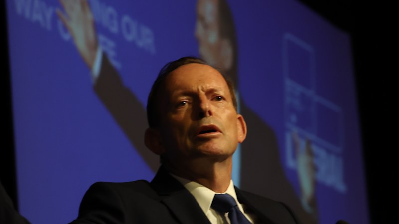 Liberals reveal new federal director