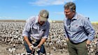 Westpac CEO Anthony Miller visiting a sheep and cotton farming customer in Moree, northern NSW, in April. 