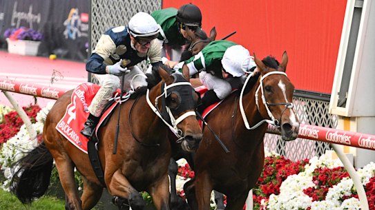 Melbourne Cup hopeful Buckaroo, left, runs a narrow second in the Cox Plate.