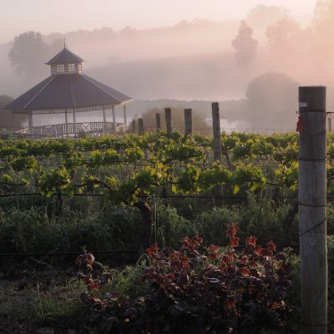 Sittella Wines is a small family winery in Western Australia's Swan Valley. 