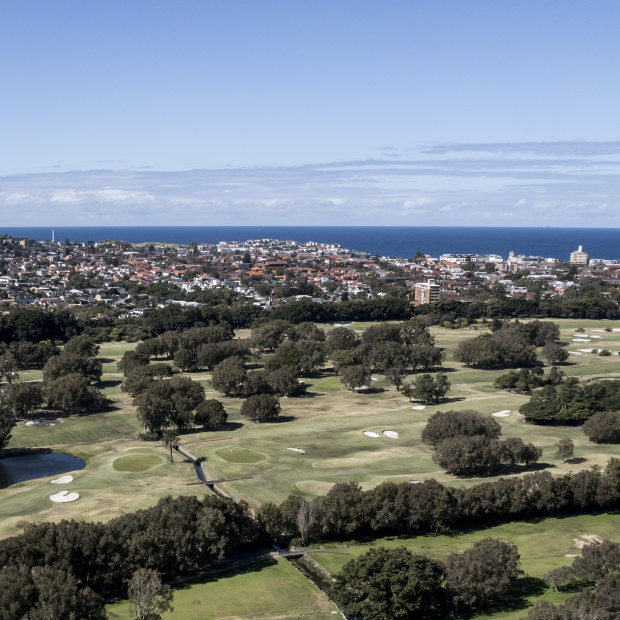 Long-established trees make Royal Sydney’s course “an ark”, says one redevelopment opponent. “There’s a lot of habitat in there that supports the remnant wildlife.” 