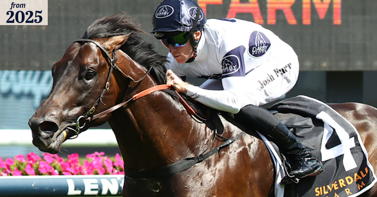 Race-by-race tips and previews for Saturday’s Scone meeting