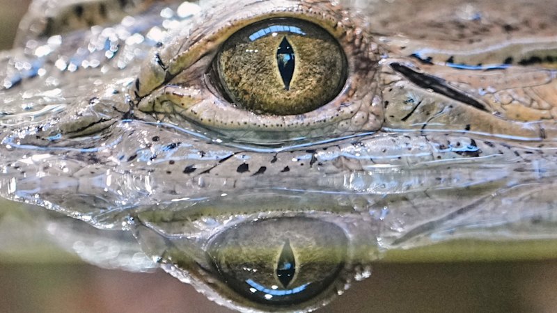 World in pictures this week, October 15, 2026