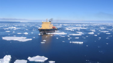 Professor Lea was aboard the Kapitan Khlebnikov when it discovered a new colony of emperor penguins. 