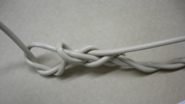 The cord Bradley Edwards used to tie up his rape victim in 1995. 