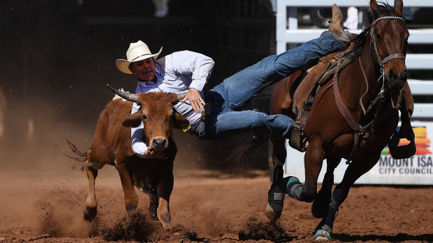 Jace Land competes in the steer wrestling event at the Mount Isa Mines Rotary Rodeo on Saturday.