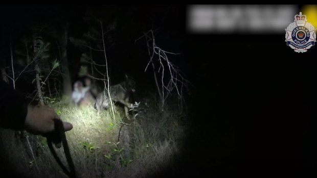 Moreton Bay dog squad officers arrest a trio in Burpengary during the early hours of Saturday. 