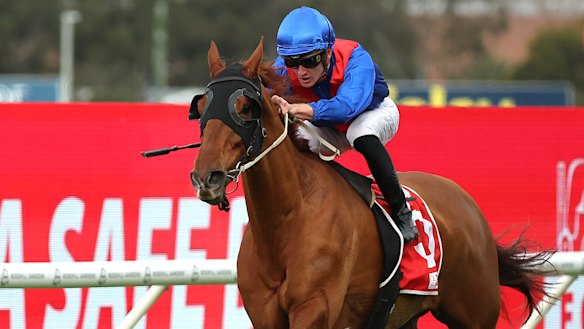 Golden Path runs away with the McKell Cup.