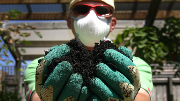 Gloves and a mask should be worn when dealing with potting mix.