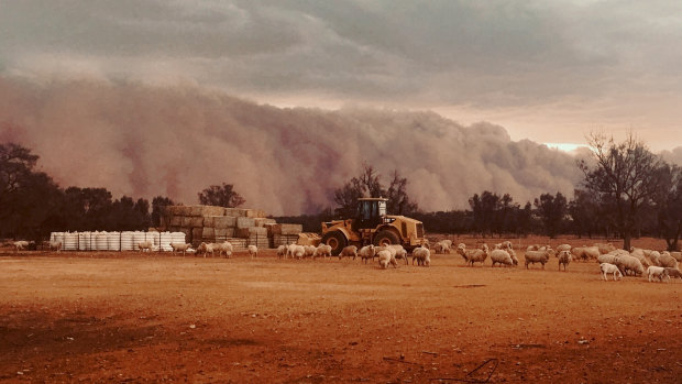 A picture of the dust storm snapped by the Turner's daughter.