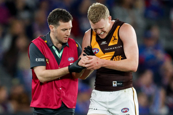 James Sicily returns to the Hawthorn line-up this weekend.