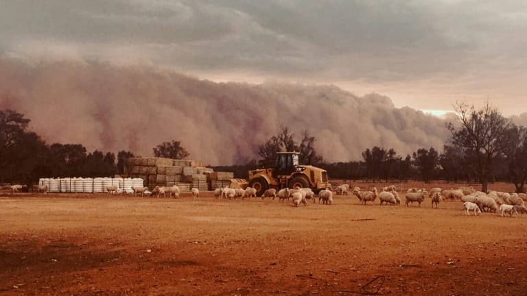 A picture of the dust storm snapped by the Turner's daughter.