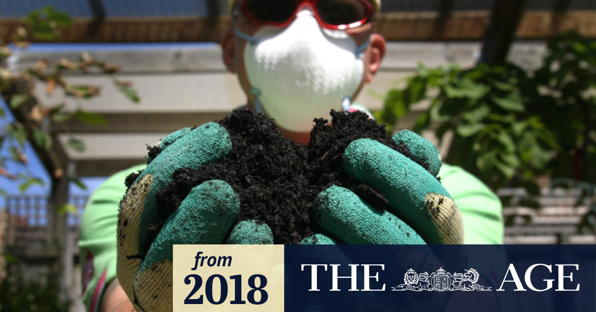 Gardeners Given A Potting Mix Care Warning After Legionnaires Spike