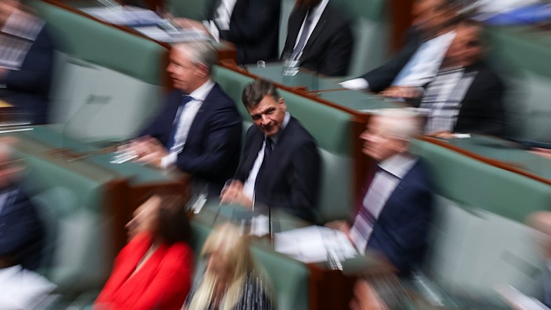 Right-wing leadership is not what the Liberals need