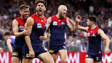 A Christian Petracca-inspired Melbourne stormed to victory over the Dogs.