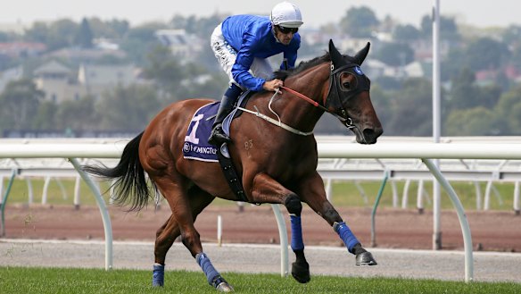 Easy rider: Hugh Bowman aboard Alizee for a track gallop during Super Saturday at Flemington.