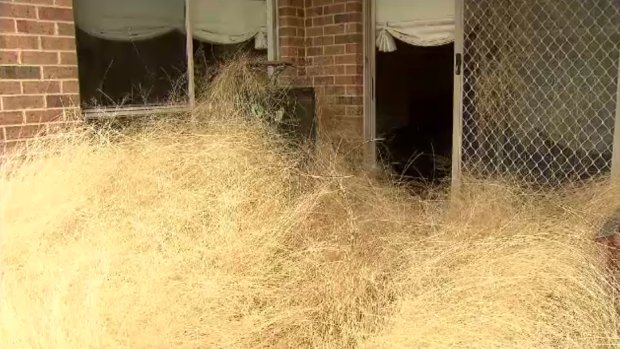 A Melbourne housing estate engulfed by tumbleweeds.