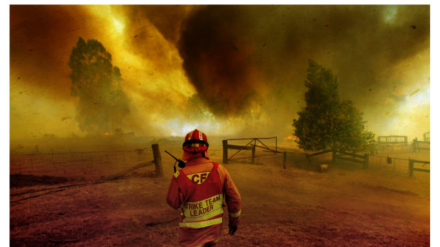 Farms and small businesses have been ravaged by the bushfires that have devastated East Gippsland. 