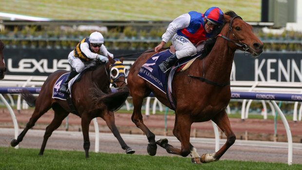 Steel Prince books his place in the 2019 Melbourne Cup with a win in Saturday's Andrew Ramsden Stakes at Flemington.