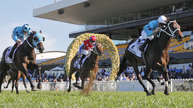 Mo’unga wins at Rosehill in September.