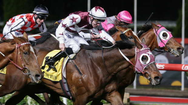 Jockey John Allen rides Truly High (front) to victory at Moonee Valley.