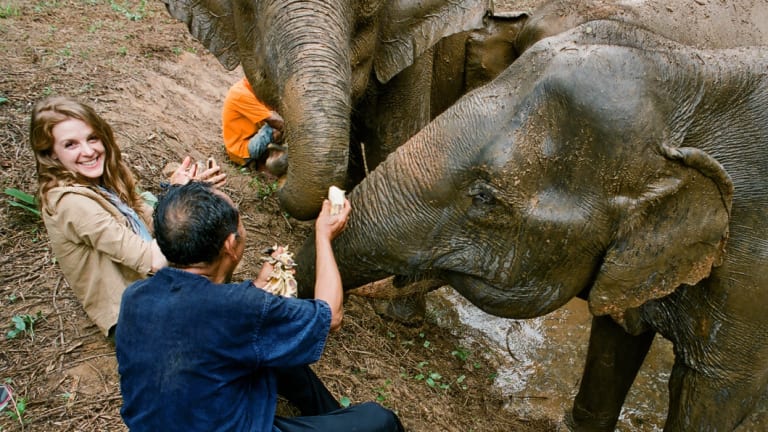 Actress Ashley Bell goes to Thailand to witness an elephant rescue.