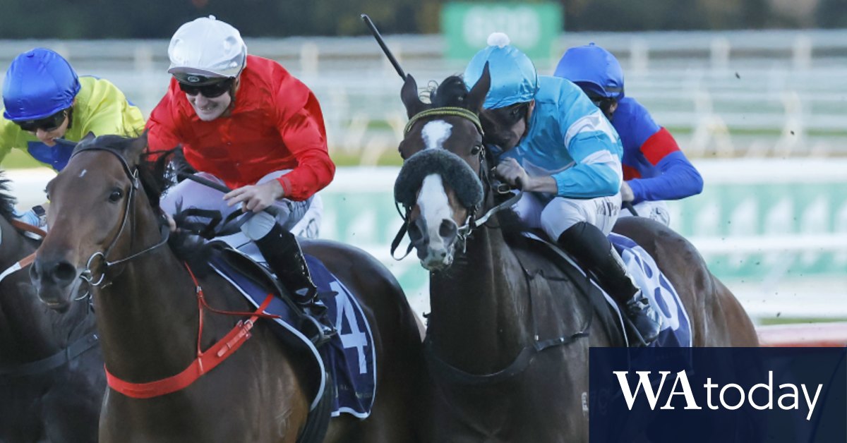 Scone Cup races Friday suggestions and full preview