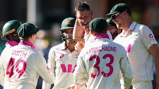 Australia celebrate after Beau Webster struck to dismiss England captain Ben Stokes.